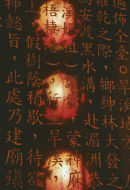 Lantern Reflections, Taichung