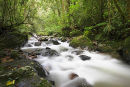 Stream In Kinabalu National Park, Sabah
