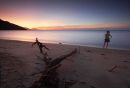 Driftwood And Woman, White Beach