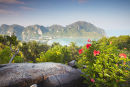 Ko Phi Phi Don At Dawn