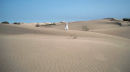 2nd. An English rose in the desert