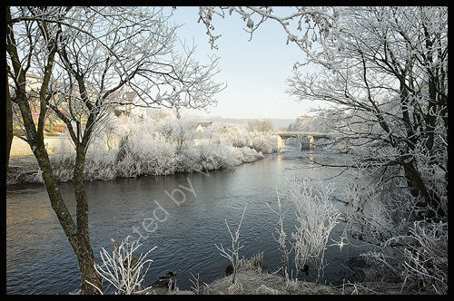 Winter frost