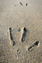 P1000754 Seagull's footprints