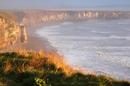 Misty Morning Shore