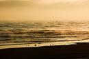 Bronzed Dawn