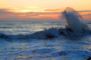 Morning Tide
