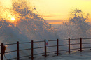 Rising Spray