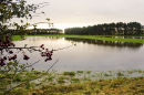 Flooded Field