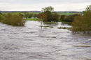 Flood Water in Field