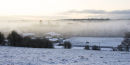 Misty Winter Fields