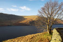 Sunny Morning at Haweswater