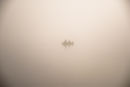 Rowing in the mist