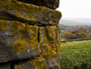 Drystone Shelter