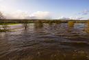 Flooded Banks of the Eden