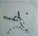 50 x 50 cm