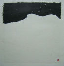 41,5 x 39 cm