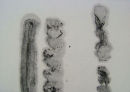 17 x 25 cm