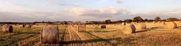 Hay-Bales, Oxfordshire 