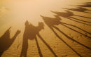 Desert Camel Ride