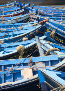 Essaouira Blue Boats, Bow to Bow