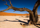 Deadvlei 3