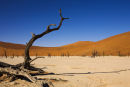 Deadvlei 1