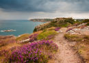 Portelet Common Headland