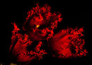 Red Tulips