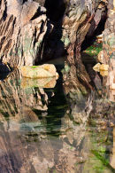 Rock Shapes and Layers Reflected