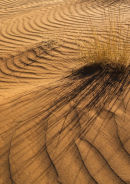 Sand Ripples