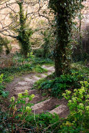 Spring Walk