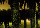 Misty Evening, Swakopmund 1