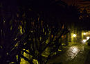 Misty Evening, Swakopmund 2