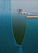 The Crossing