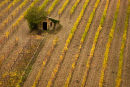 The Shed, Tuscany