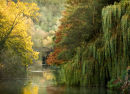 Up River, Bradford-On-Avon