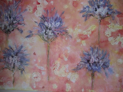 Agapanthus