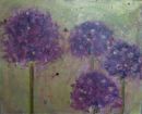 Alliums
SOLD