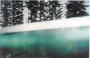 'Black Forest', 2002, from 'All I have left', Series