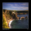 DISTANT-HOPE-COVE-600