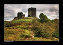 CASTLE
