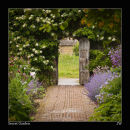 GARDEN-600
