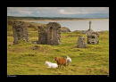 DWYNWEN