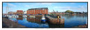 1112 North Berwick Harbour 3 880 x297