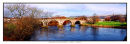 1227 Old Stirling Bridge 880 x 297