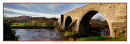 1228 Old Stirling Bridge 2 880 x 297