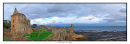 1257 St Andrews Castle 880 x 297