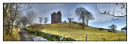 1311 Balvaird castle HDR 880 x 297