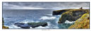 1360 Castle of Old Wick 880 x 297