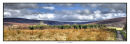 1401 Auchindoun Castle HDR 880 x 297